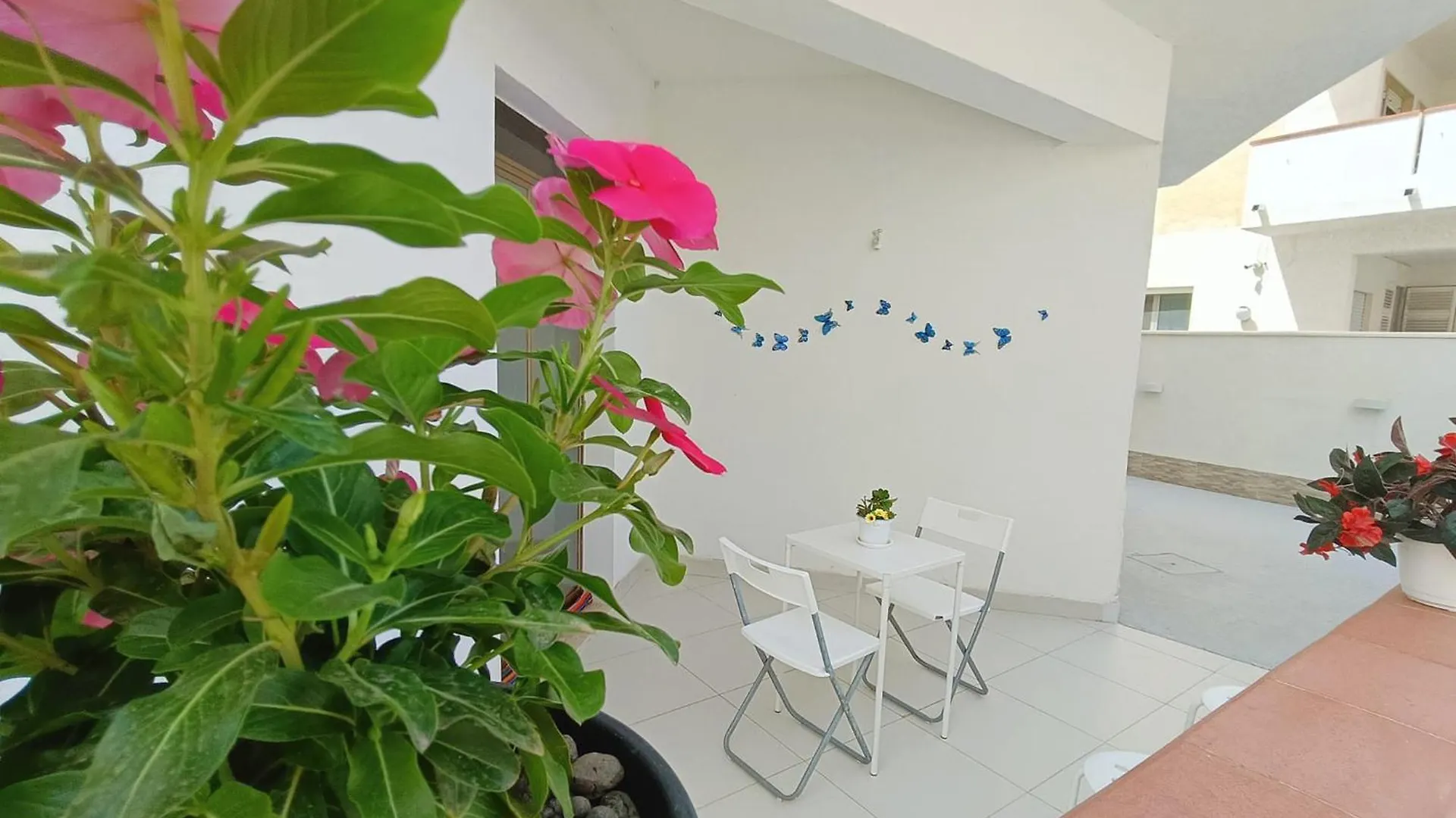 Rosso Corallo Home A Soli Tre Minuti Dal Mare Disponibile Piano Terra Indipendente Sul Golfo Di Castellammare ألكامو مارينا 0*,  إيطاليا