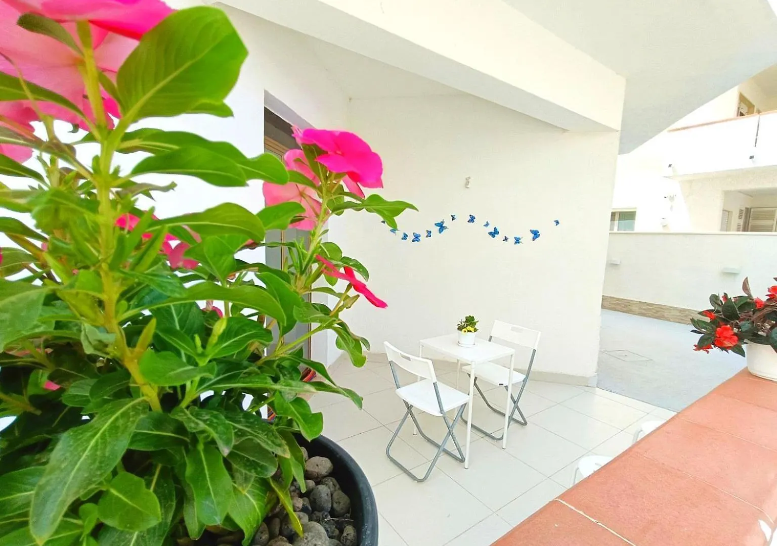 Rosso Corallo Home A Soli Tre Minuti Dal Mare Disponibile Piano Terra Indipendente Sul Golfo Di Castellammare Alcamo Marina Appartement